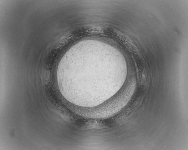 X0000115650704200912011522