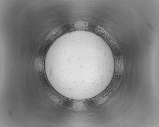 X0000115650705200912011522