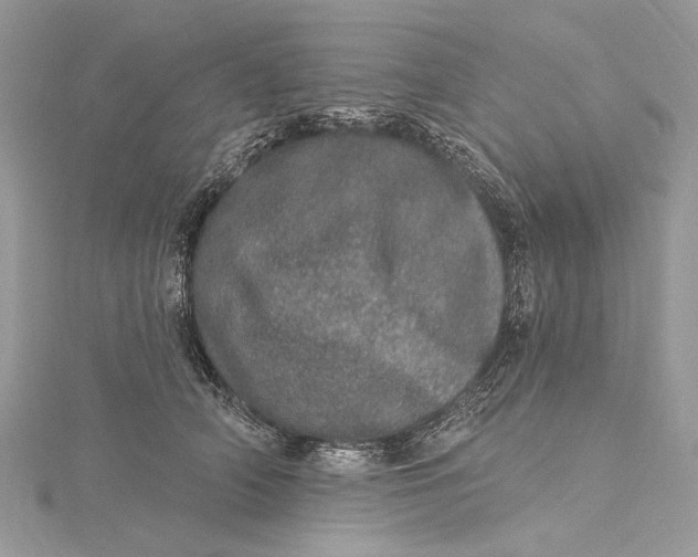 X0000115650706200912011522