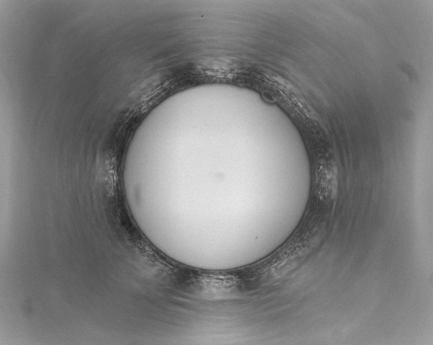 X0000115650707200912011522