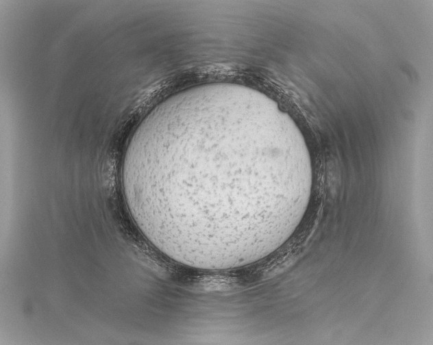 X0000115650708200912011522