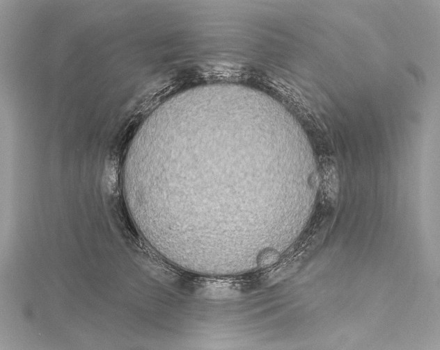 X0000115650709200912011522