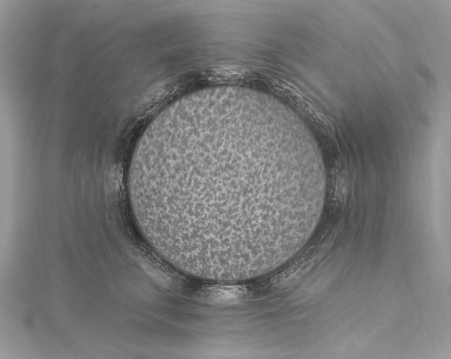 X0000115650711200912011522