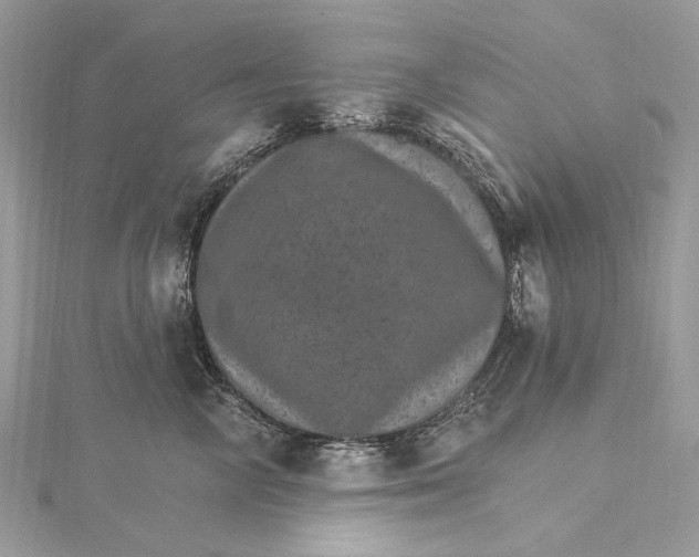 X0000115650714200912011522