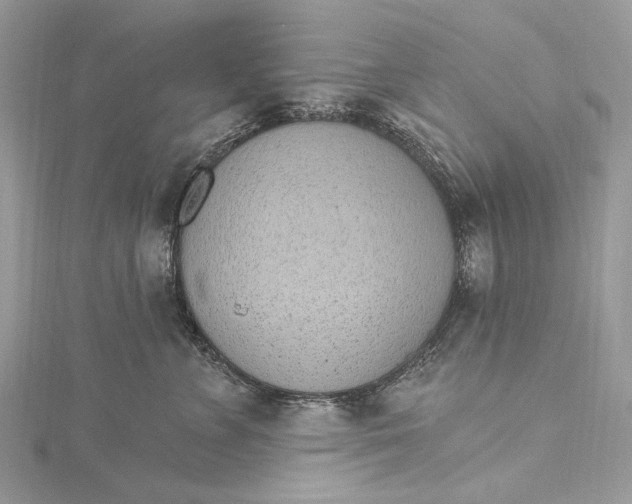 X0000115650715200912011522