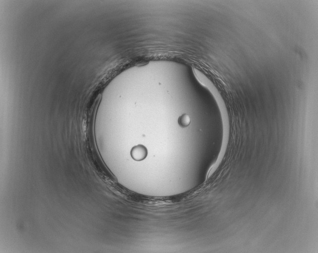 X0000115650716200912011522