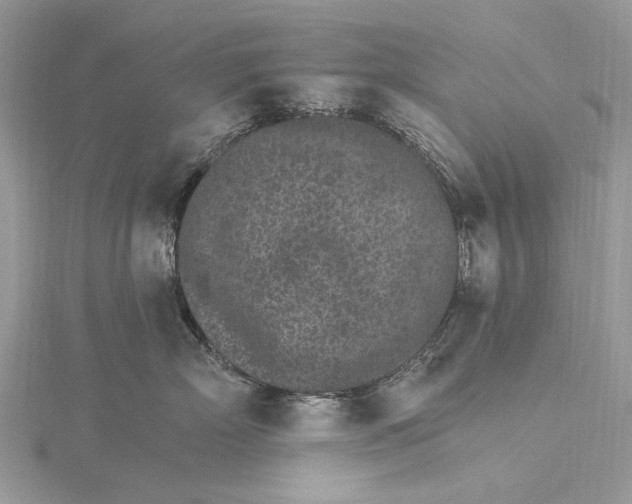 X0000115650718200912011522