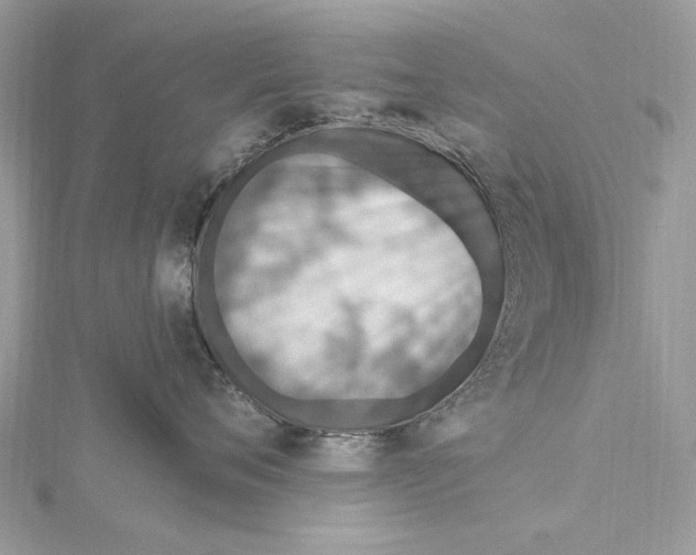 X0000115650720200912011522