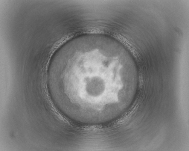 X0000115650721200912011521