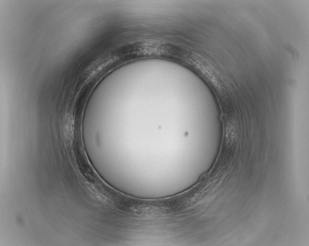 X0000115650722200912011521