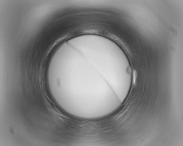 X0000115650723200912011521