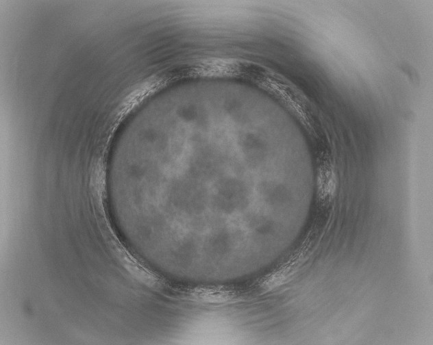 X0000115650725200912011521