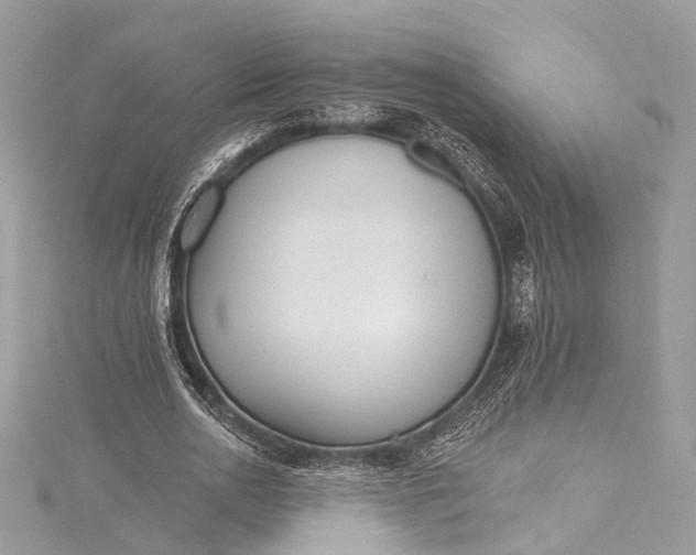 X0000115650726200912011521