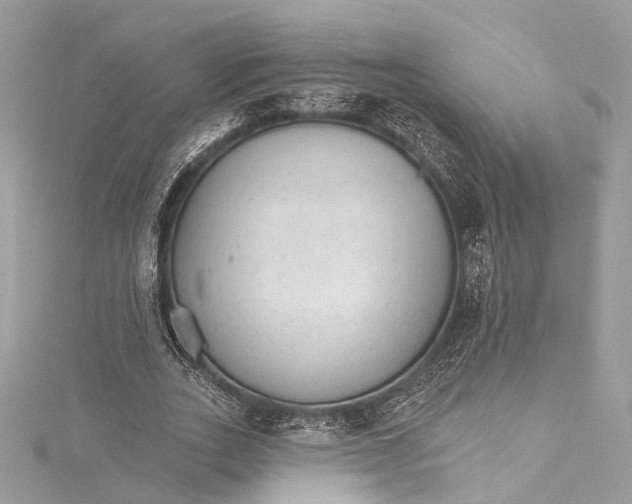 X0000115650727200912011521