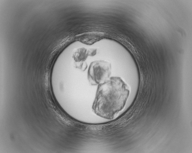 X0000115650729200912011521