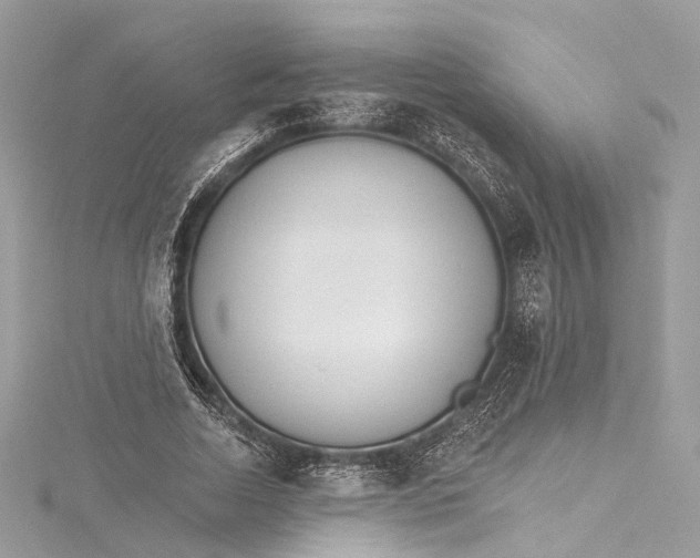 X0000115650730200912011521