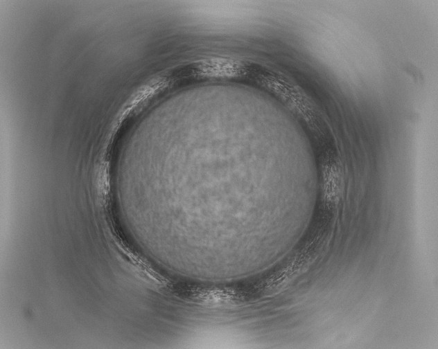 X0000115650731200912011521