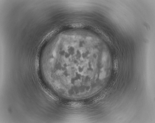 X0000115650733200912011521