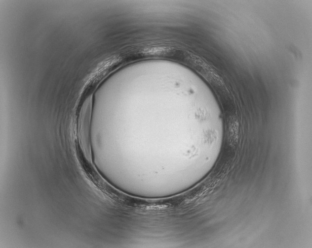 X0000115650734200912011521