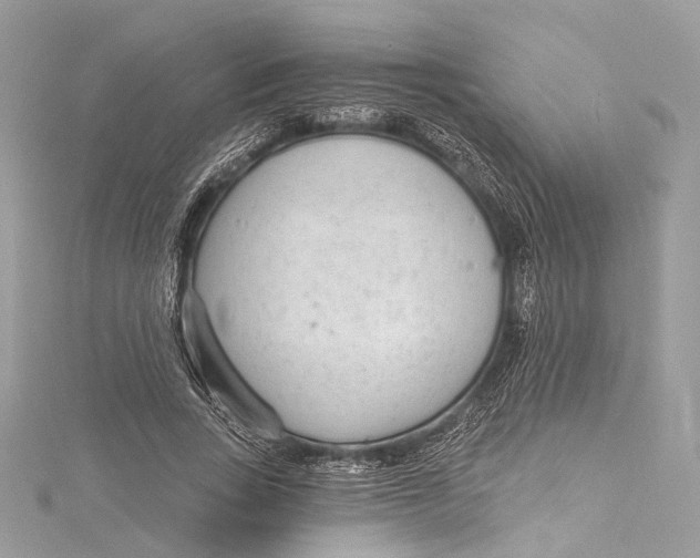 X0000115650735200912011522