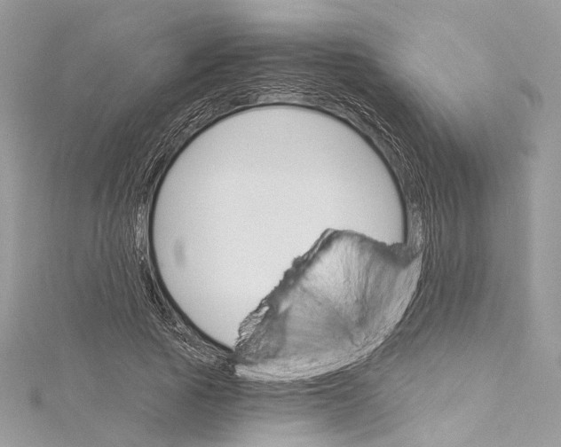 X0000115650737200912011522