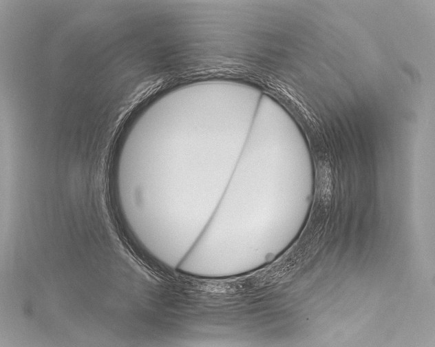 X0000115650738200912011522