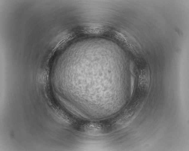 X0000115650739200912011522