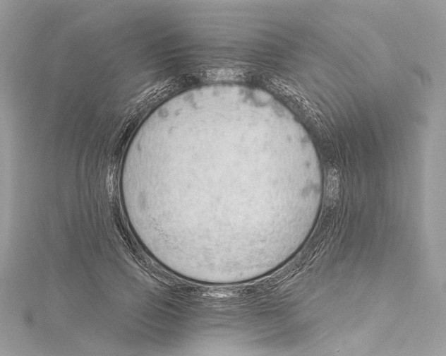 X0000115650741200912011522