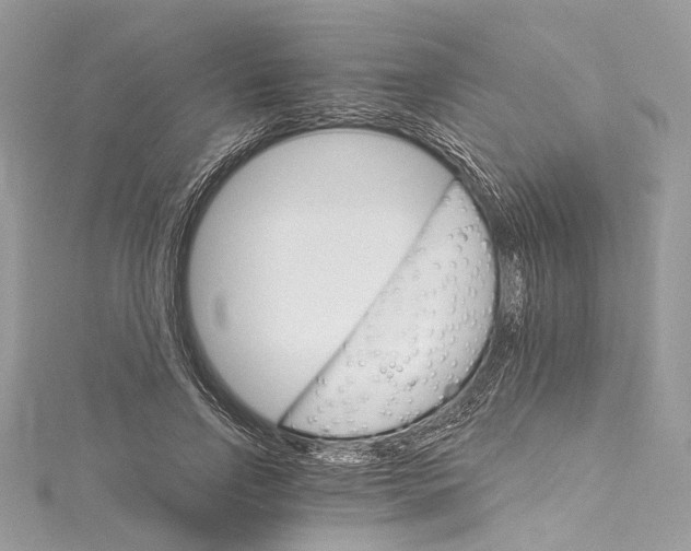 X0000115650742200912011522