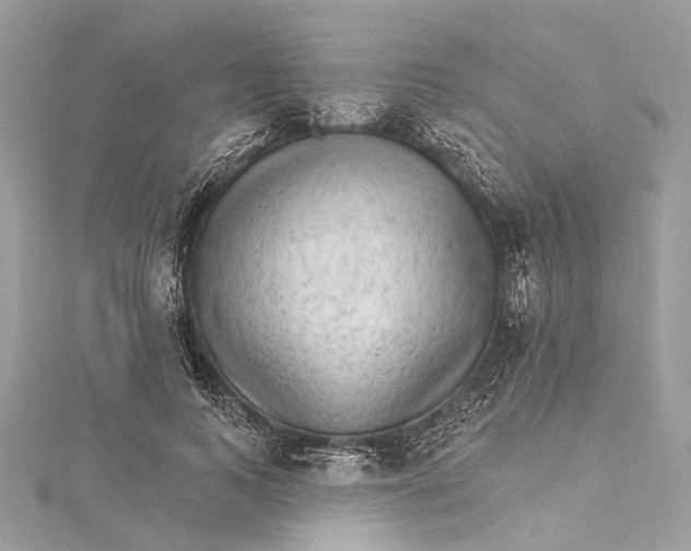 X0000115650743200912011522