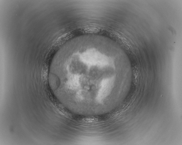 X0000115650745200912011522