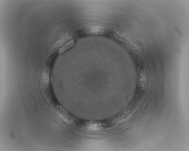 X0000115650746200912011522