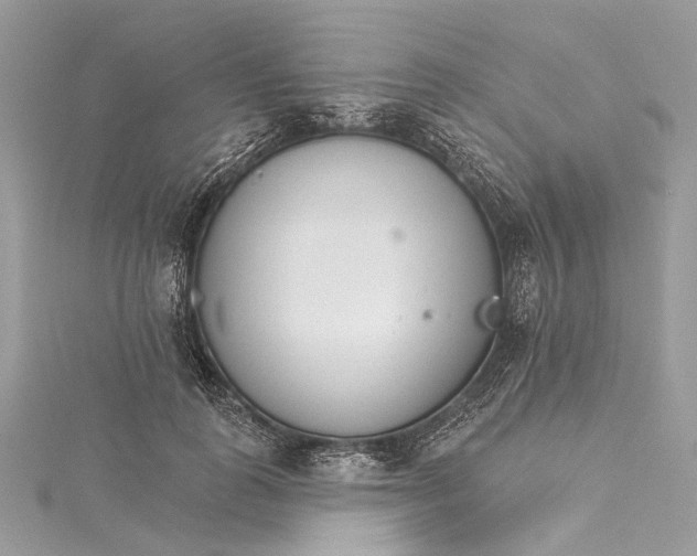 X0000115650747200912011522