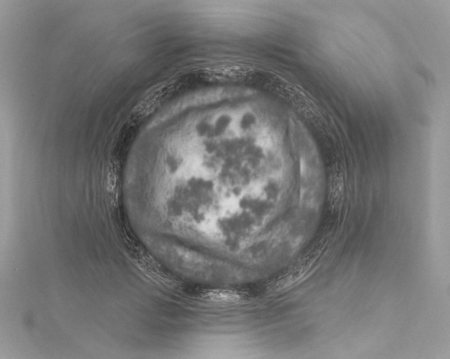 X0000115650749200912011522