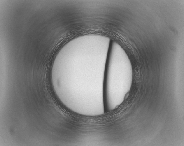 X0000115650750200912011522