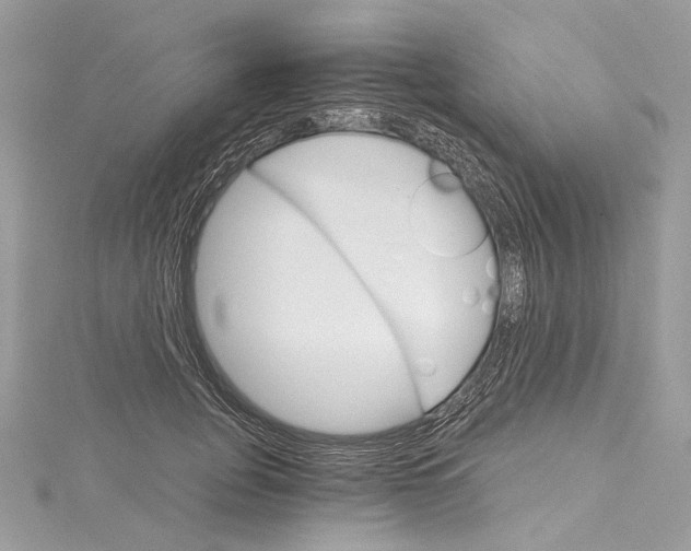 X0000115650751200912011522