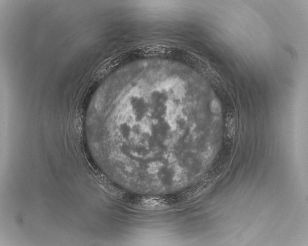 X0000115650753200912011522