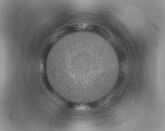 X0000115650754200912011522