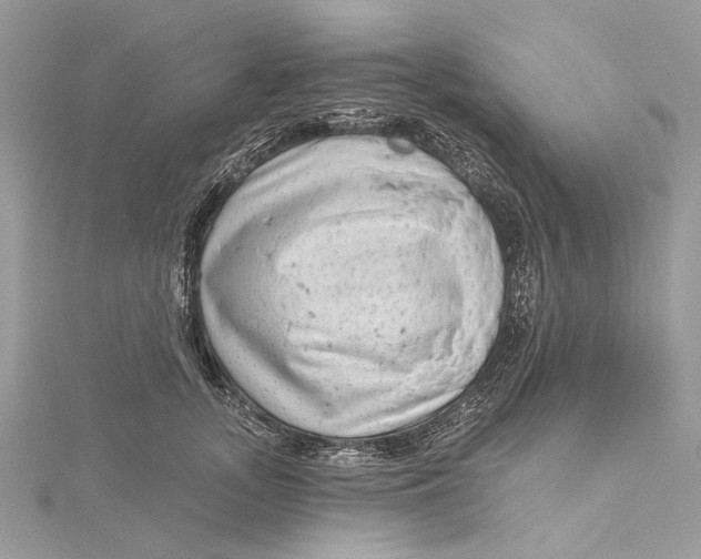 X0000115650755200912011522