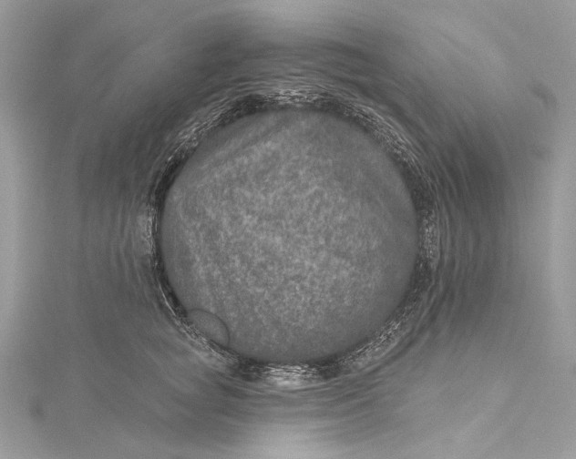 X0000115650757200912011522