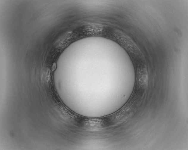 X0000115650758200912011522