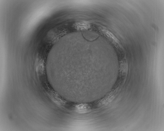 X0000115650761200912011522