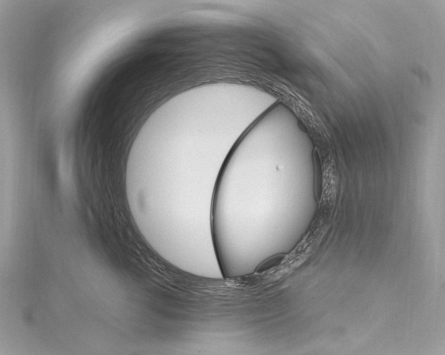 X0000115650762200912011522