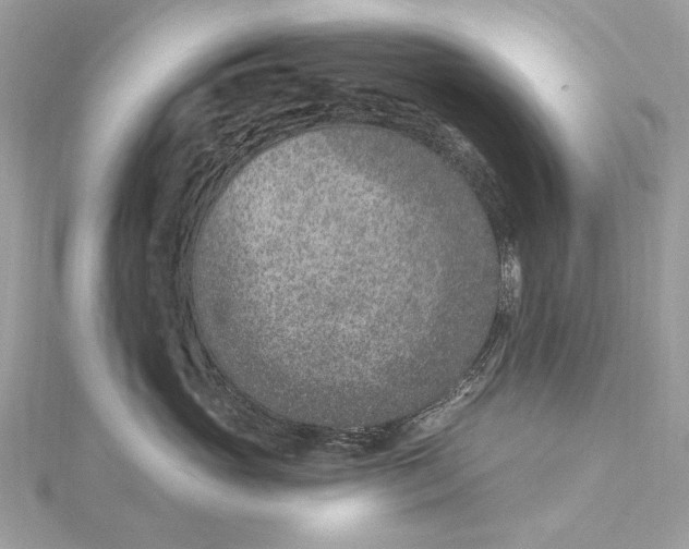 X0000115650765200912011522