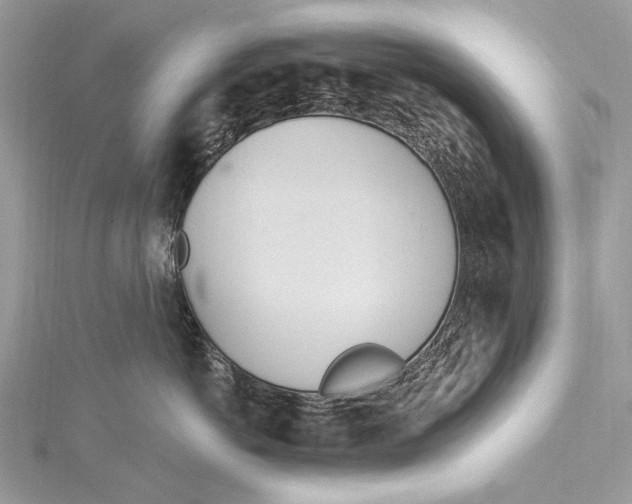 X0000115650766200912011522