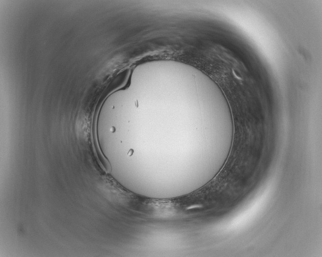 X0000115650767200912011522