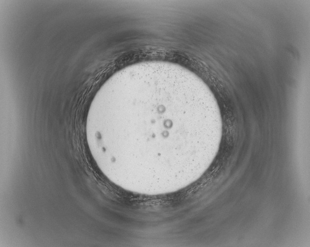 X0000115650769200912011521