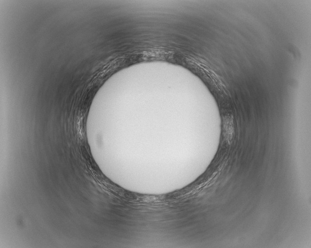 X0000115650770200912011521