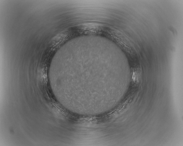 X0000115650771200912011521