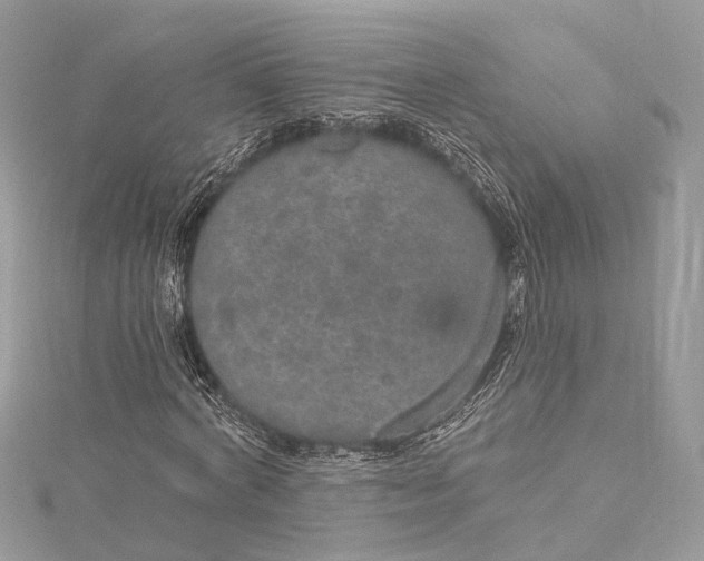 X0000115650772200912011521